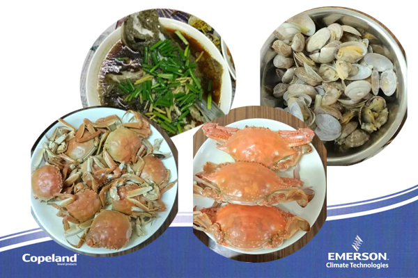 艾默生制冷壓縮機 艾默生制冷壓縮機