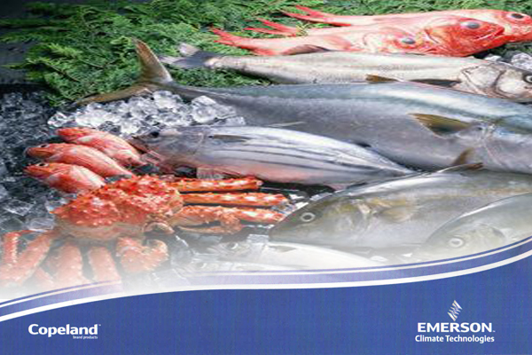 冷庫建造 冷庫建造