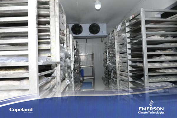 冷庫建造 冷庫建造