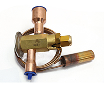 TRAES 12 HCA TRAES 12 HCA